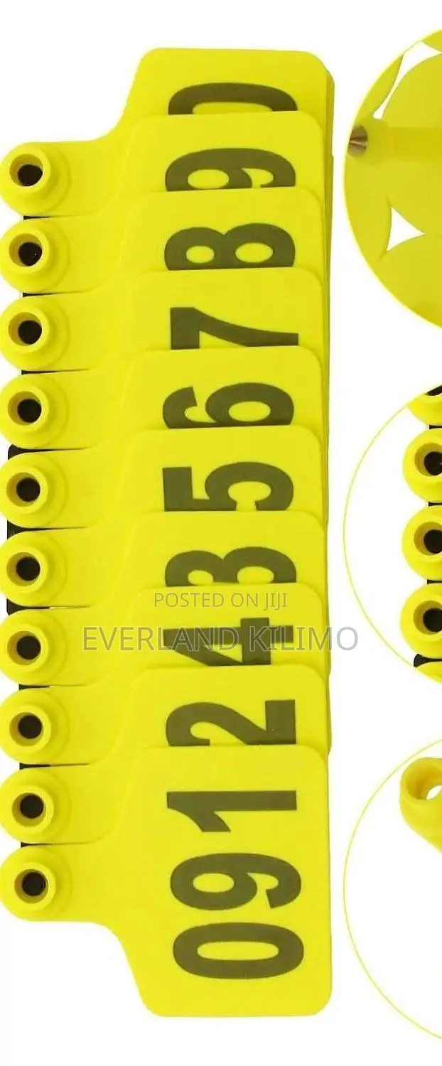 Feeding Plan Identification Medium Ear Tags - Numbered