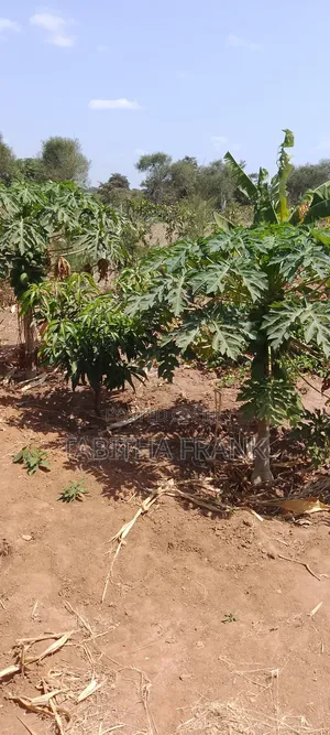 Land and Plots for Sale
