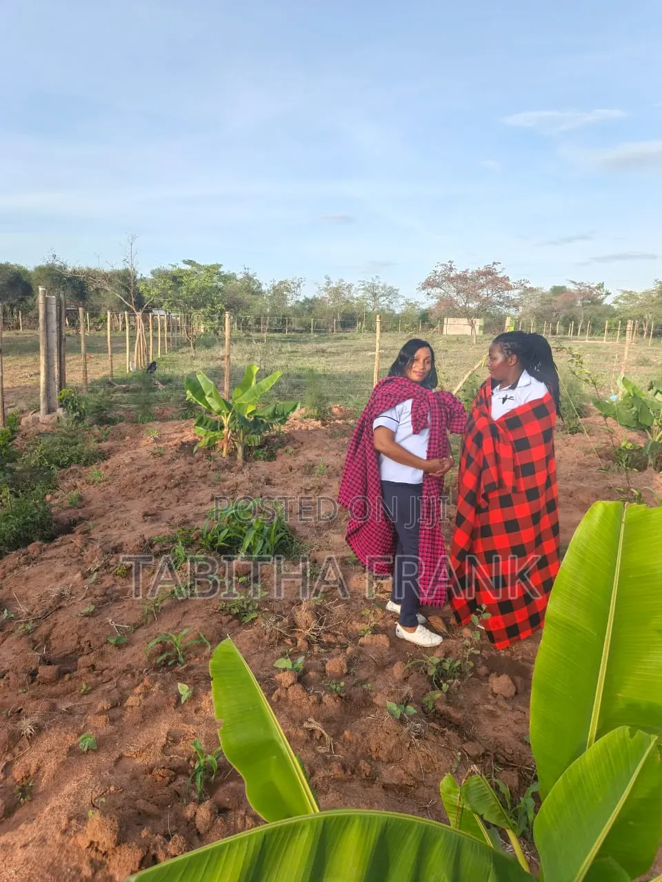 Land and Plots for Sale