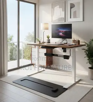 Office Desk; Ergonomical 1.2 Meter Electric Modern Standing Desk