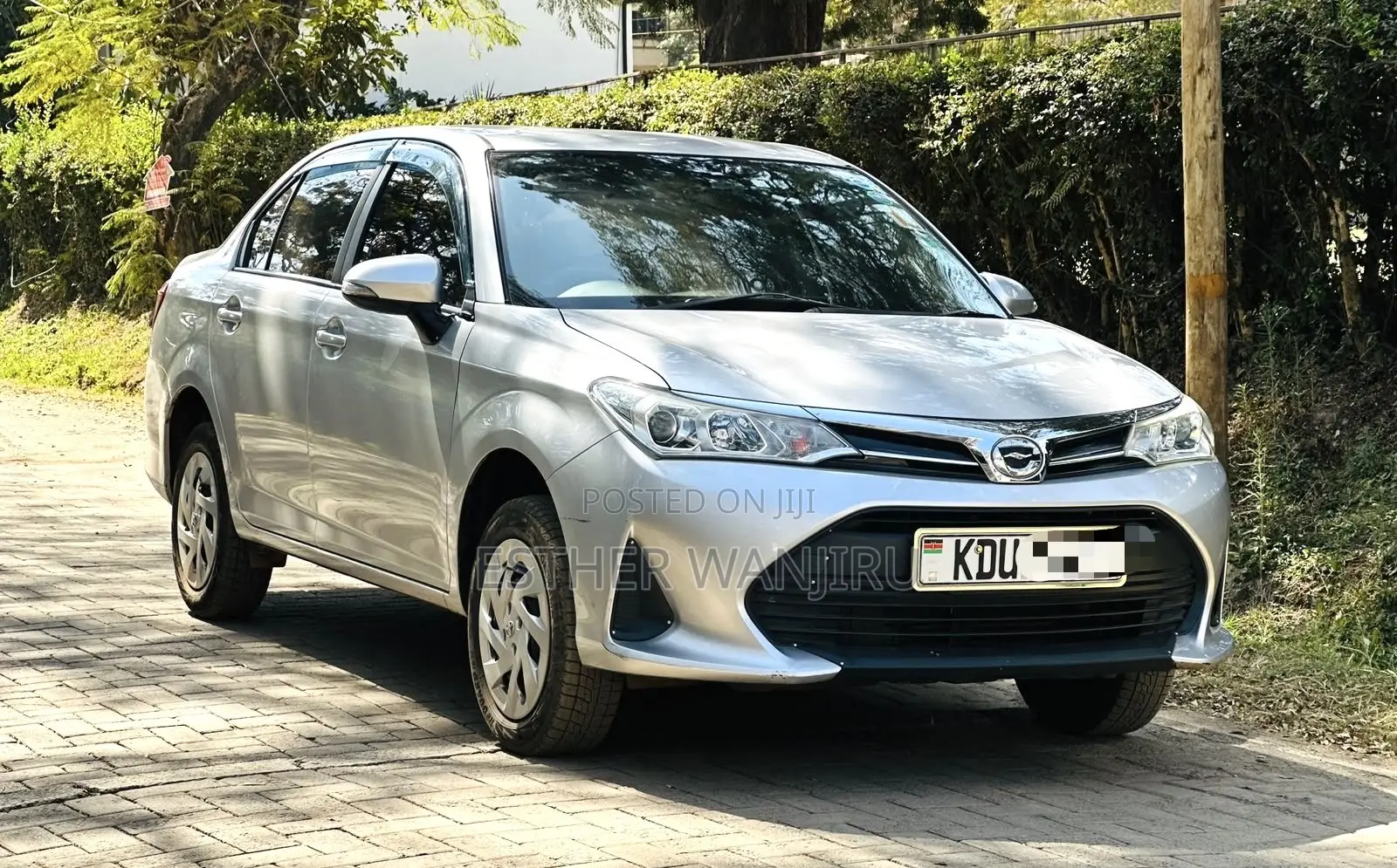 Toyota Axio 2018 Gray