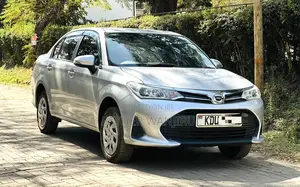 Toyota Axio 2018 Gray