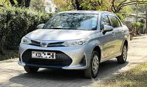 Toyota Axio 2018 Gray
