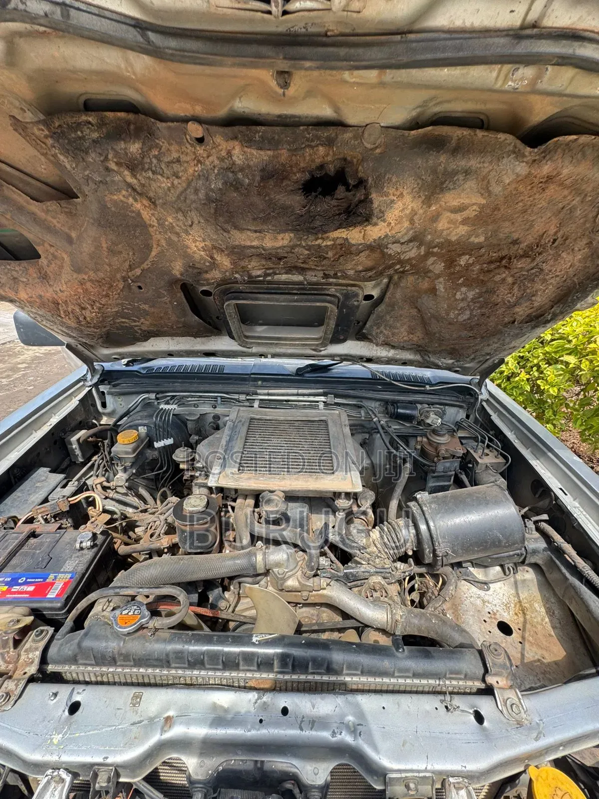 Nissan Navara 2005 Silver
