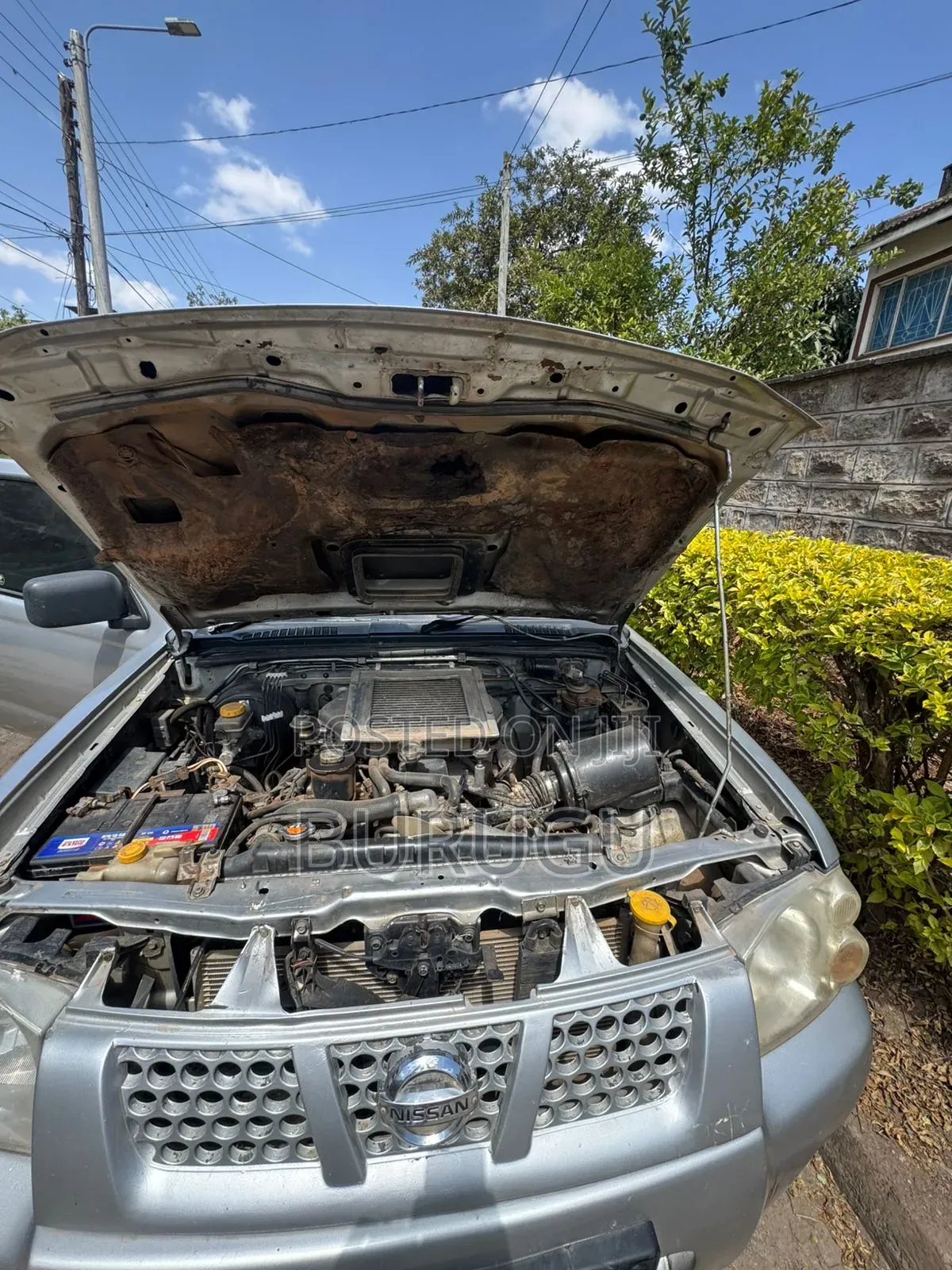 Nissan Navara 2005 Silver