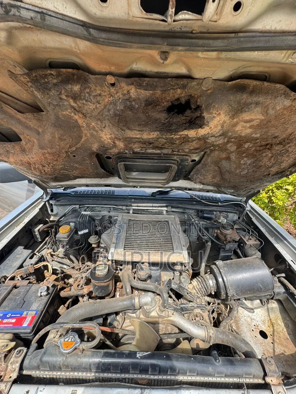 Nissan Navara 2005 Silver