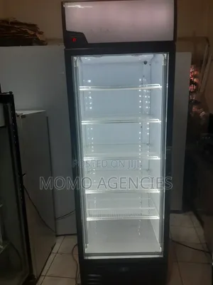 Sandenintercool Display Fridge 650l