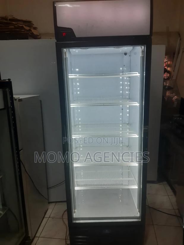 Sandenintercool Display Fridge 650l