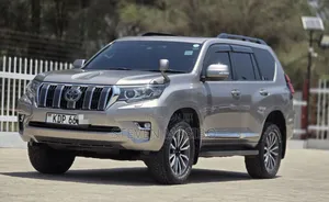 Toyota Land Cruiser Prado 2017 Silver