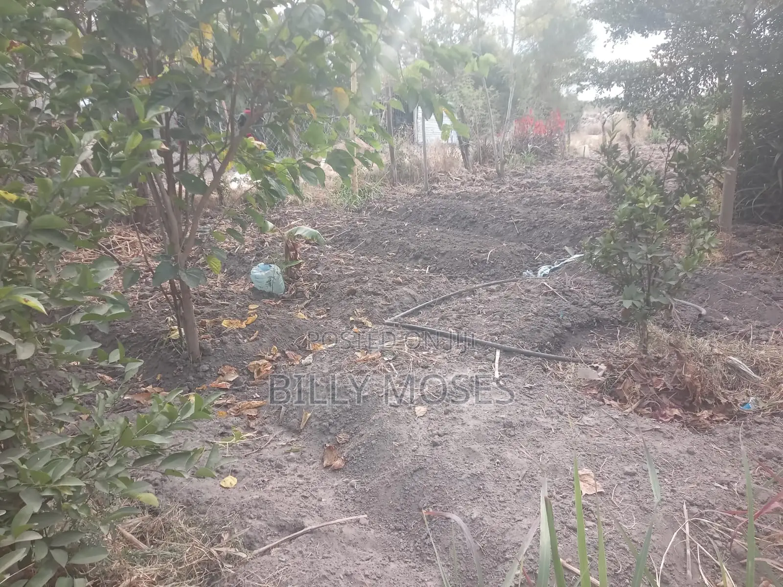 2 Plots 40ft by 80ft Each in Joska. Ready Title Deeds.