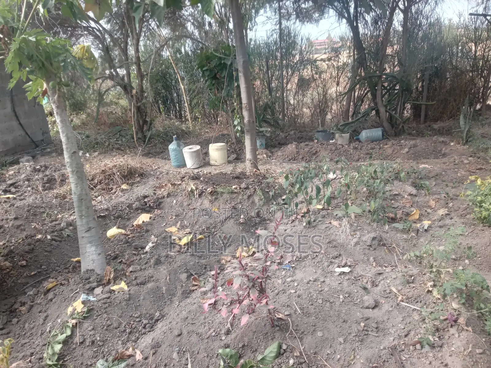 2 Plots 40ft by 80ft Each in Joska. Ready Title Deeds.