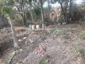 2 Plots 40ft by 80ft Each in Joska. Ready Title Deeds.