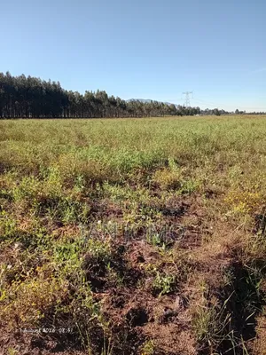 5acres Land Along Ndunyu Njeru- Kinangop Rd. Water & Electricity Acces