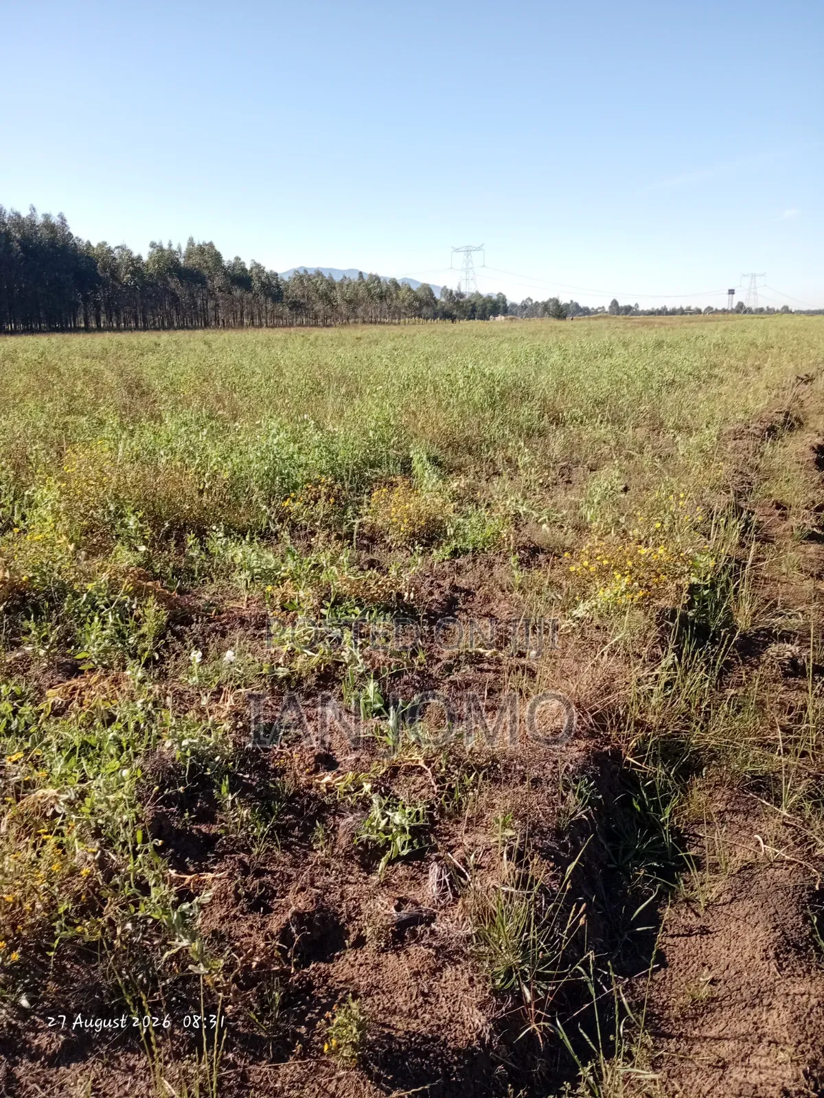 5acres Land Along Ndunyu Njeru- Kinangop Rd. Water & Electricity Acces