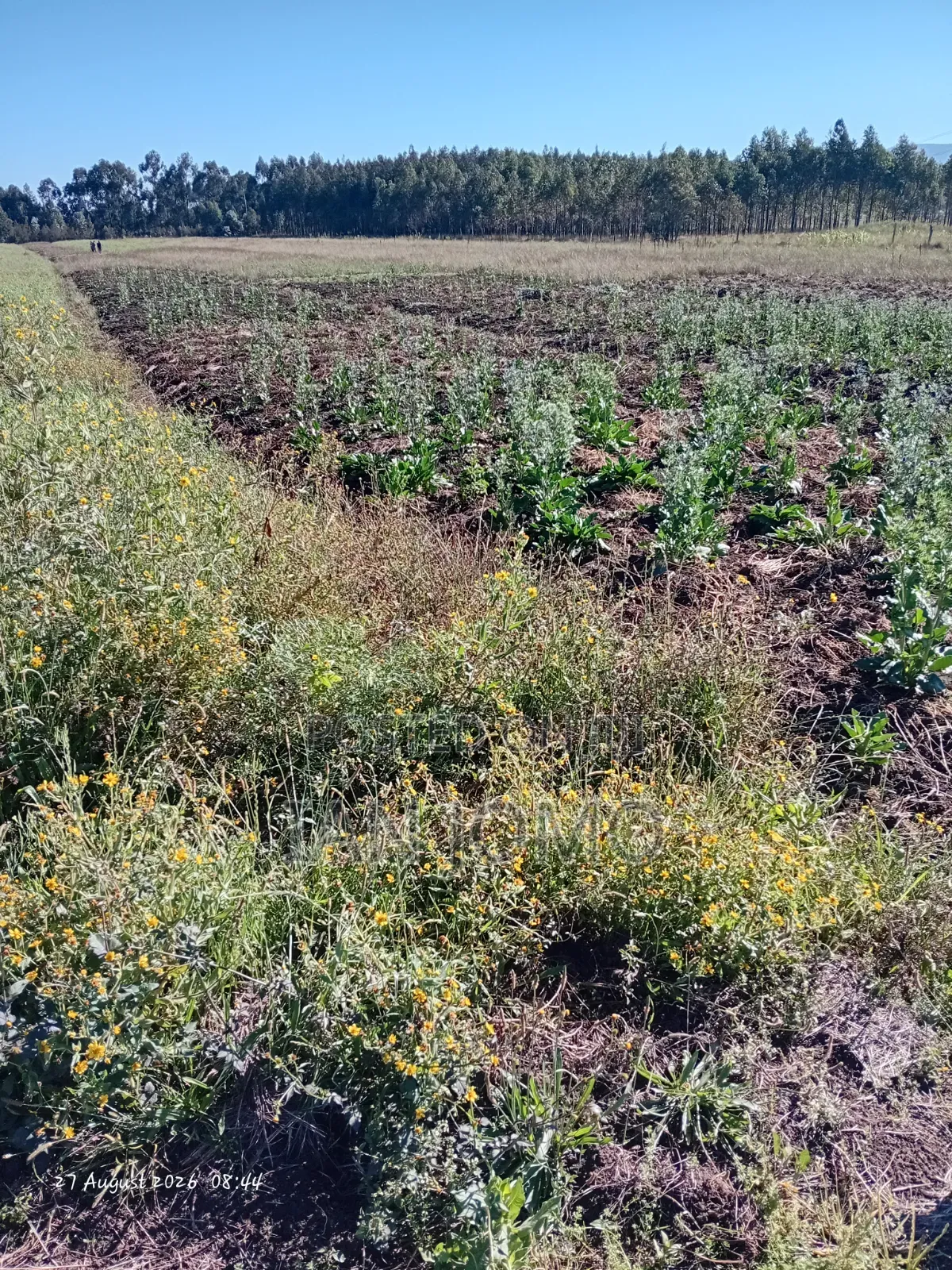 5acres Land Along Ndunyu Njeru- Kinangop Rd. Water & Electricity Acces