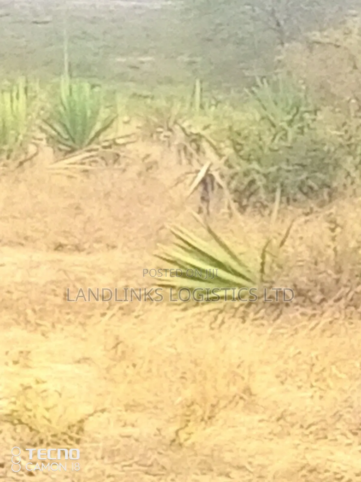 Lukenya Rd  5 , 10 ,15 Acres 9kms Inside  Off Mombasa Rd for Godiwns