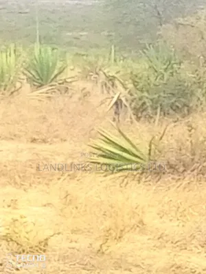 Lukenya Rd  5 , 10 ,15 Acres 9kms Inside  Off Mombasa Rd for Godiwns