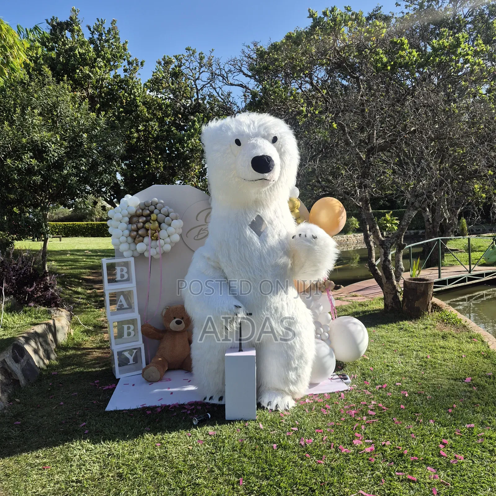 Bear Mascot Hire