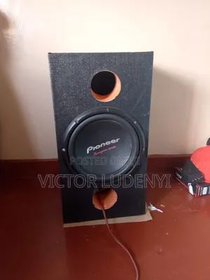 Speaker Pioneer