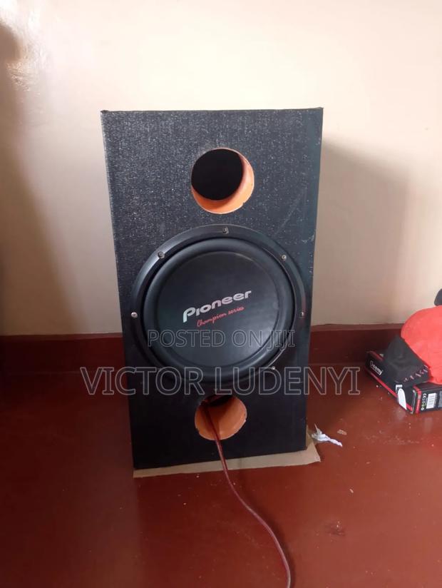 Speaker Pioneer