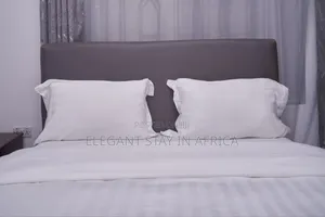 Cozy 2bed Available in Tanzania(Mushono) at 9500 Per Day