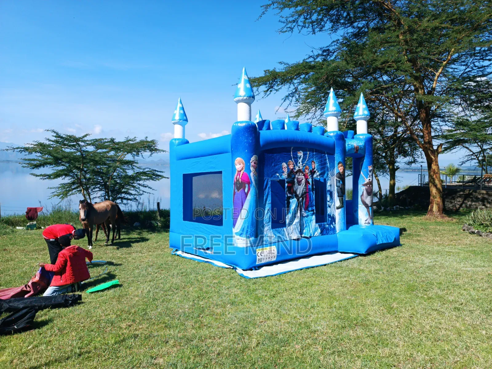 Bouncy Castles, Trampolines and Mascots for Hire