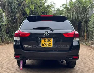Toyota Corolla Fielder 2015 Black