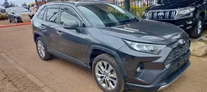 Toyota RAV4 XLE Premium FWD 2019 Gray
