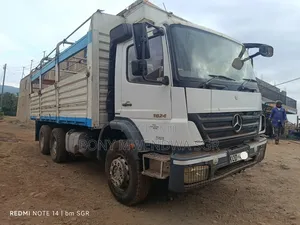 Mercedes Axor Double Diff