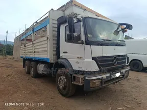 Mercedes Axor Double Diff