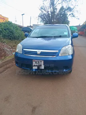 Toyota Raum 2008 Blue