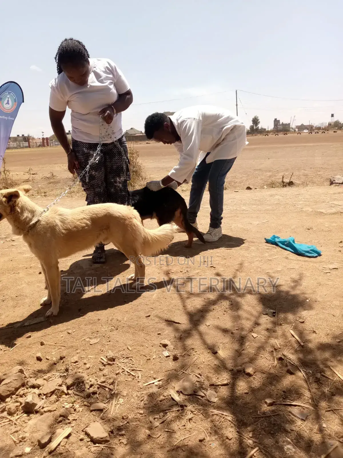 TailTales_ke