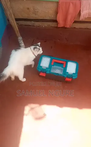 TailTales Veterinary Services