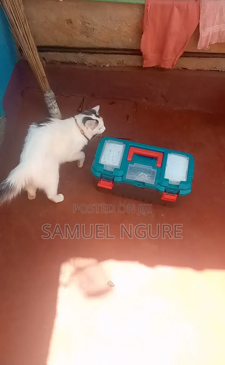 TailTales Veterinary Services