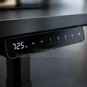 Electric Adjustable Standing Desk