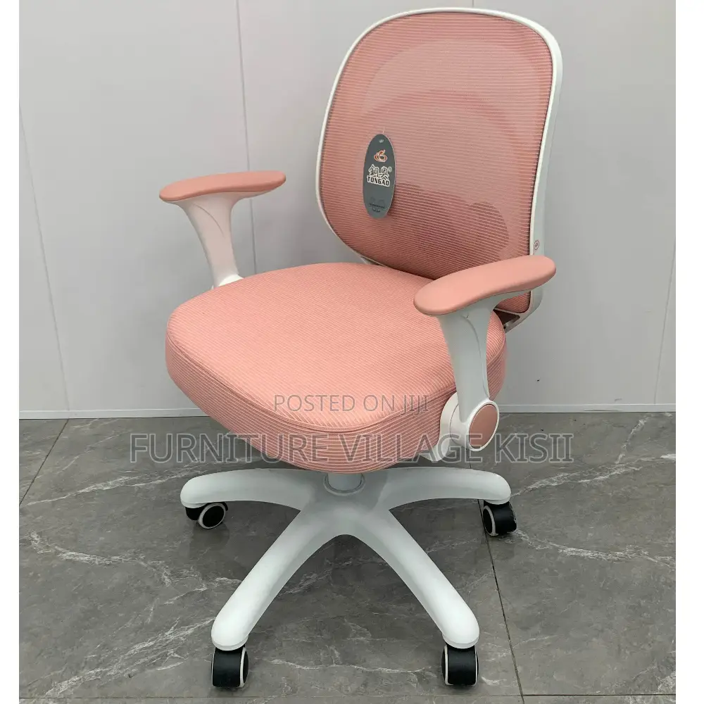 Office Chair ; Adjustable Mesh Kids Study Chair