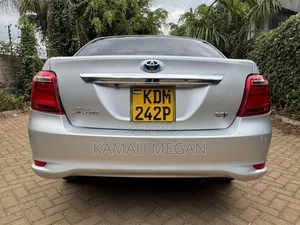 Toyota Axio 1.5 G 2WD 2016 Gray
