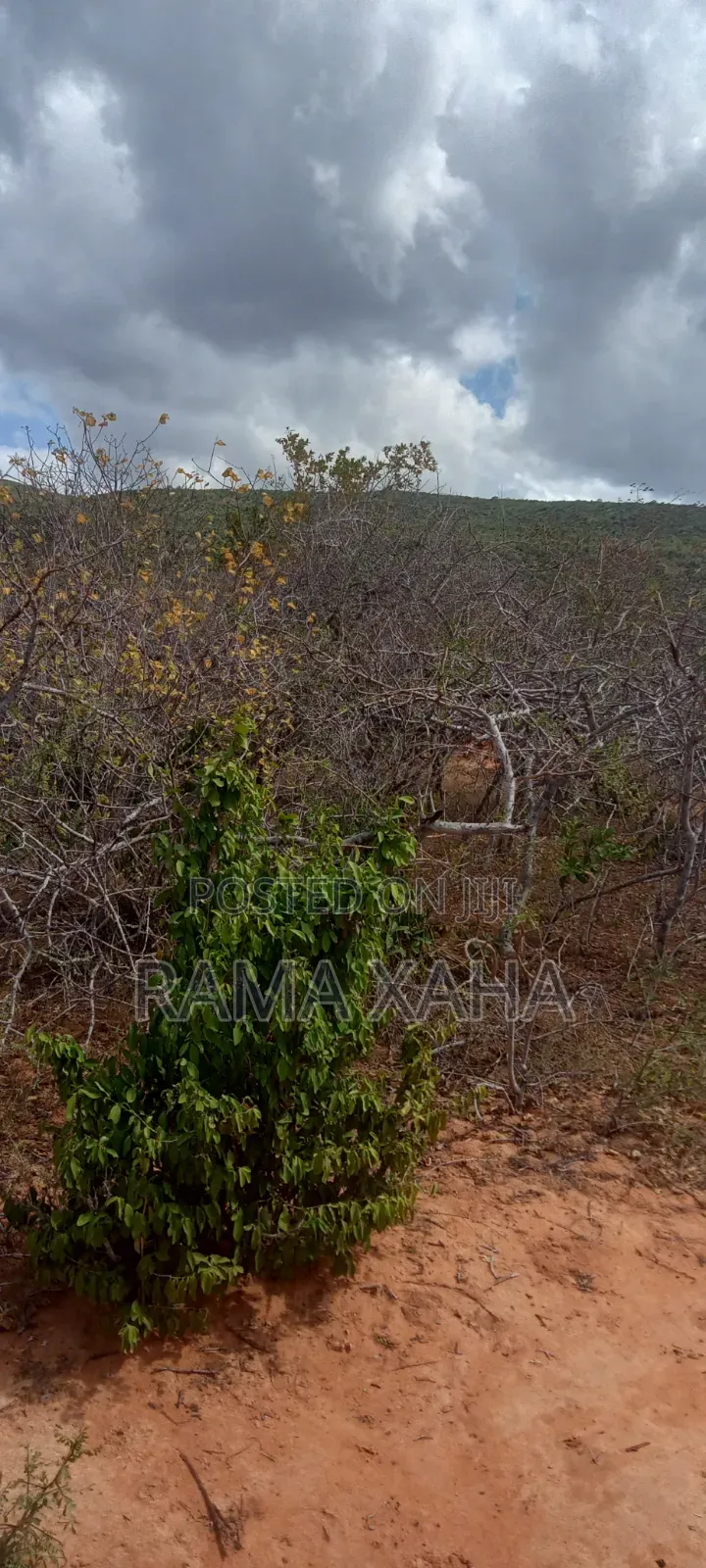 40 Acres Touching Mwangea Hill With Ready Title Deed