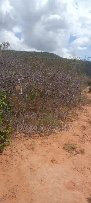 40 Acres Touching Mwangea Hill With Ready Title Deed