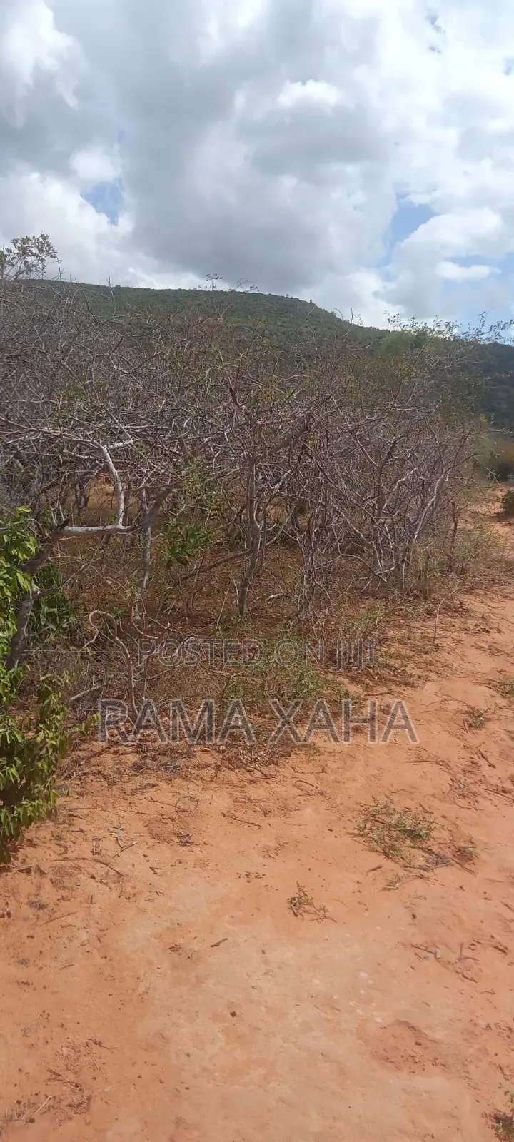 40 Acres Touching Mwangea Hill With Ready Title Deed