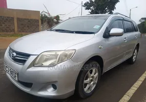 Toyota Corolla Fielder 2010 Silver