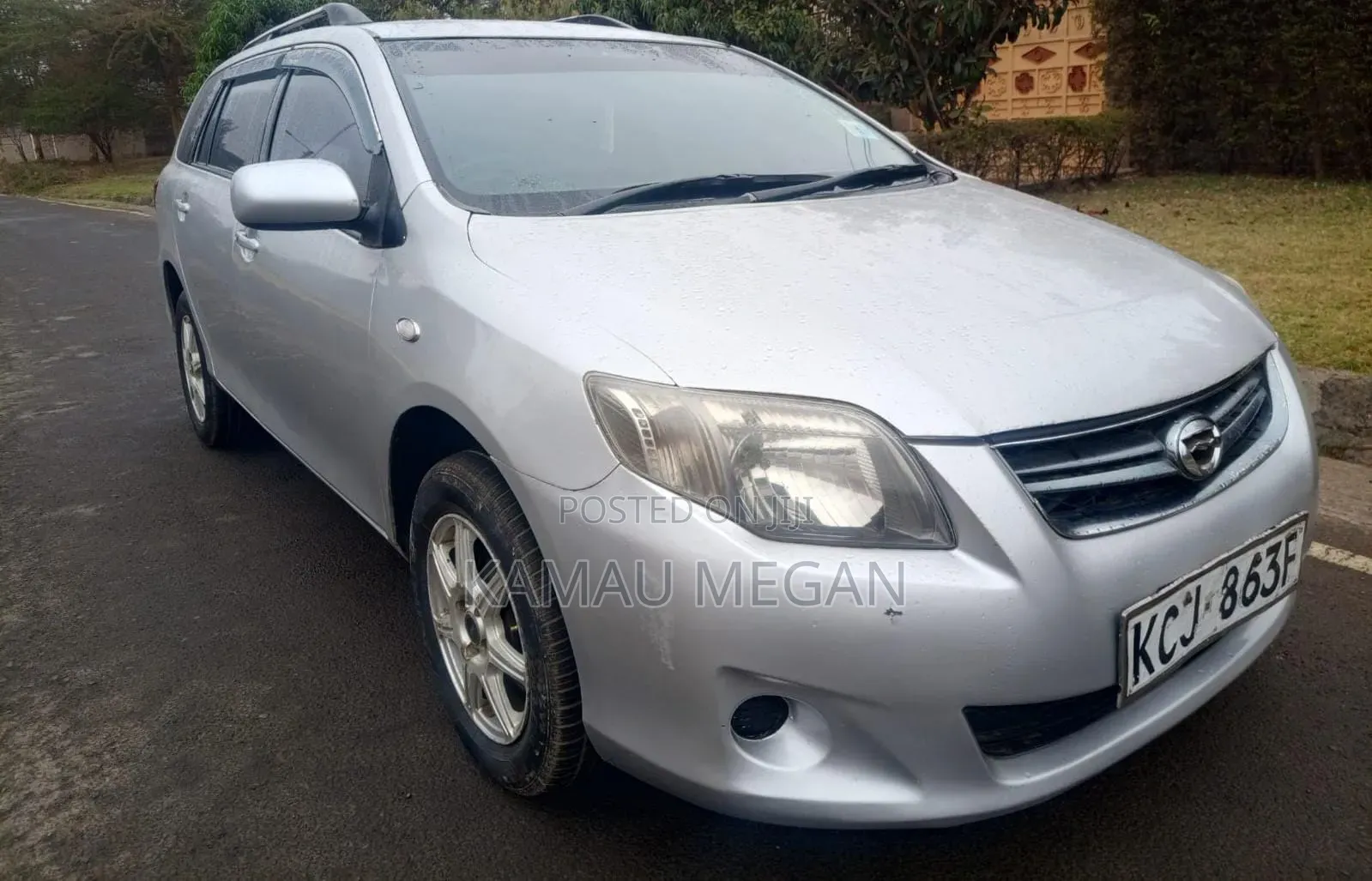 Toyota Corolla Fielder 2010 Silver