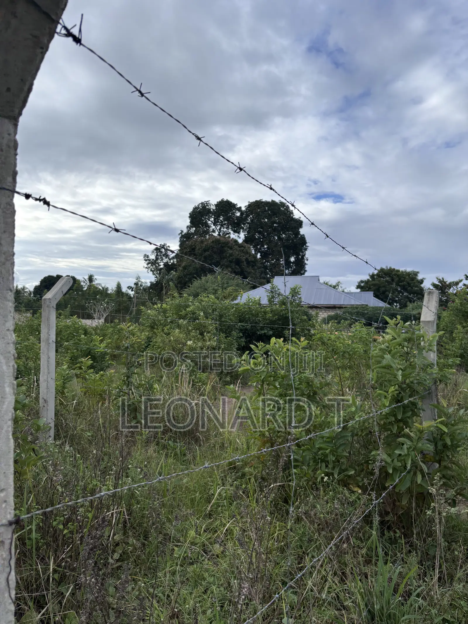 Quarter Acre Plot for Sale – Diani
