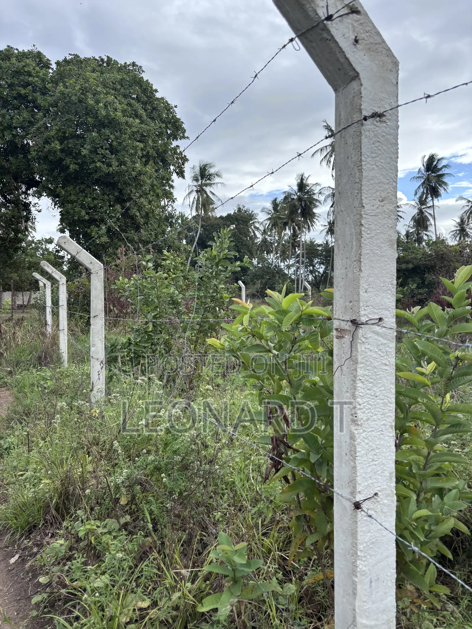 Quarter Acre Plot for Sale – Diani