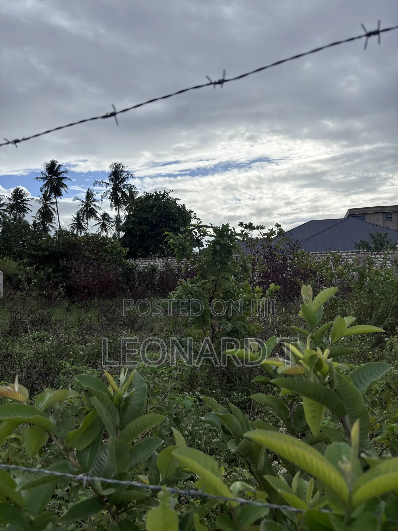 Quarter Acre Plot for Sale – Diani