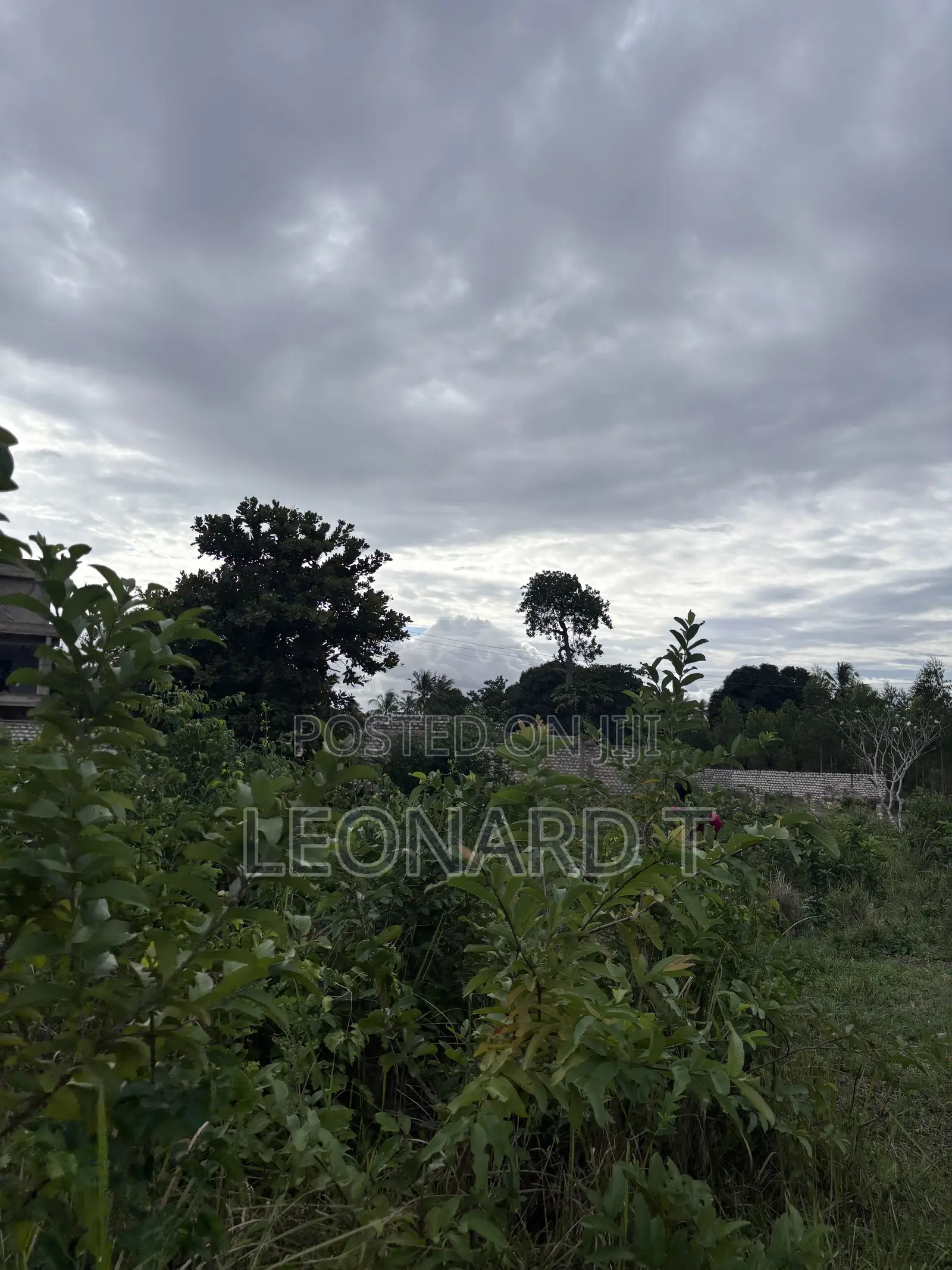 Quarter Acre Plot for Sale – Diani