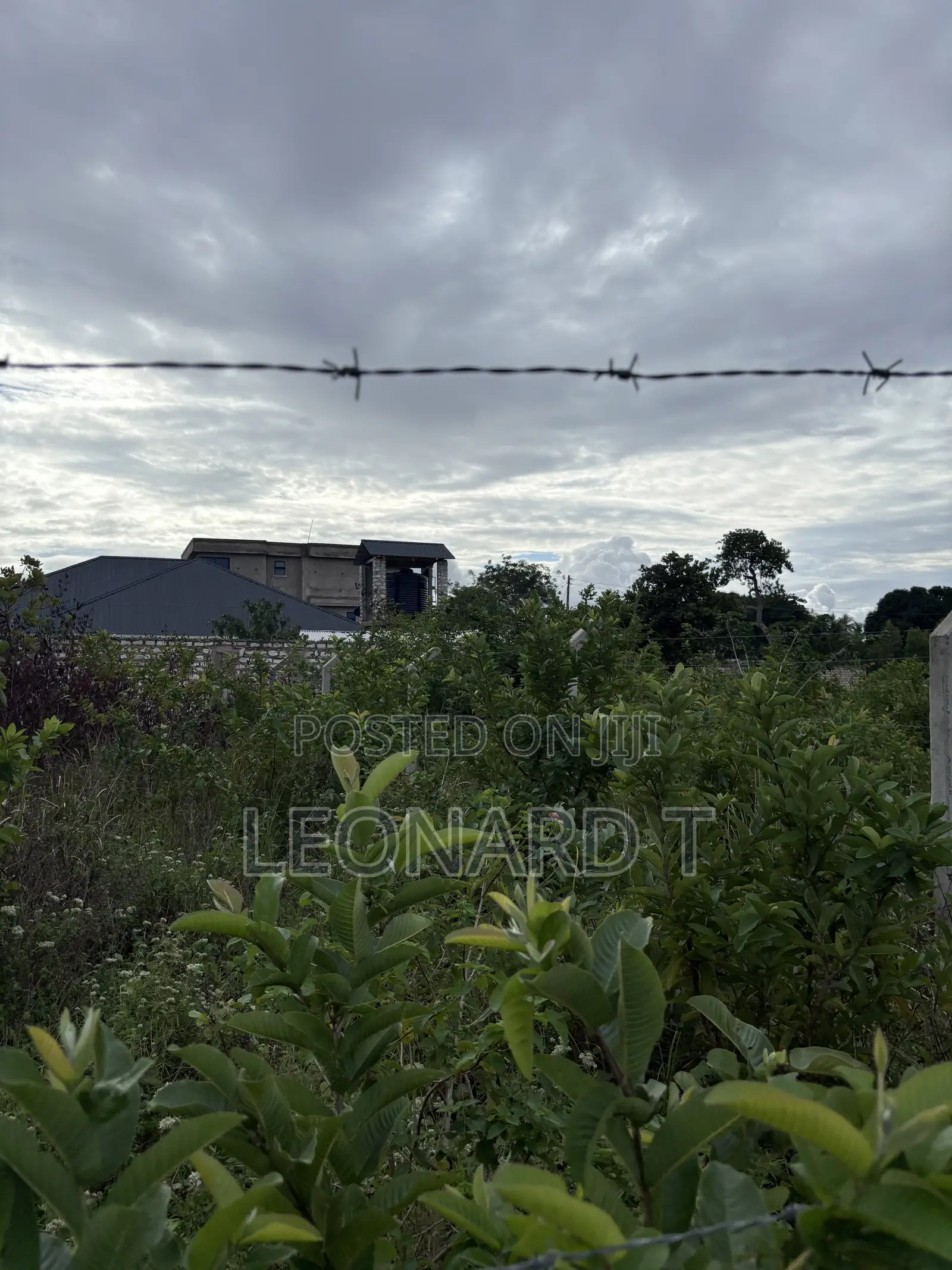 Quarter Acre Plot for Sale – Diani