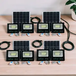 Bulk Prices Powerful 100W,200W,300W 2-in-1 Double Solar Floodlights