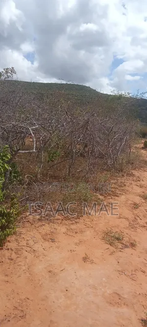 40 Acres for Sale at Kilifi Ndungumunani Area 120k Per Acre