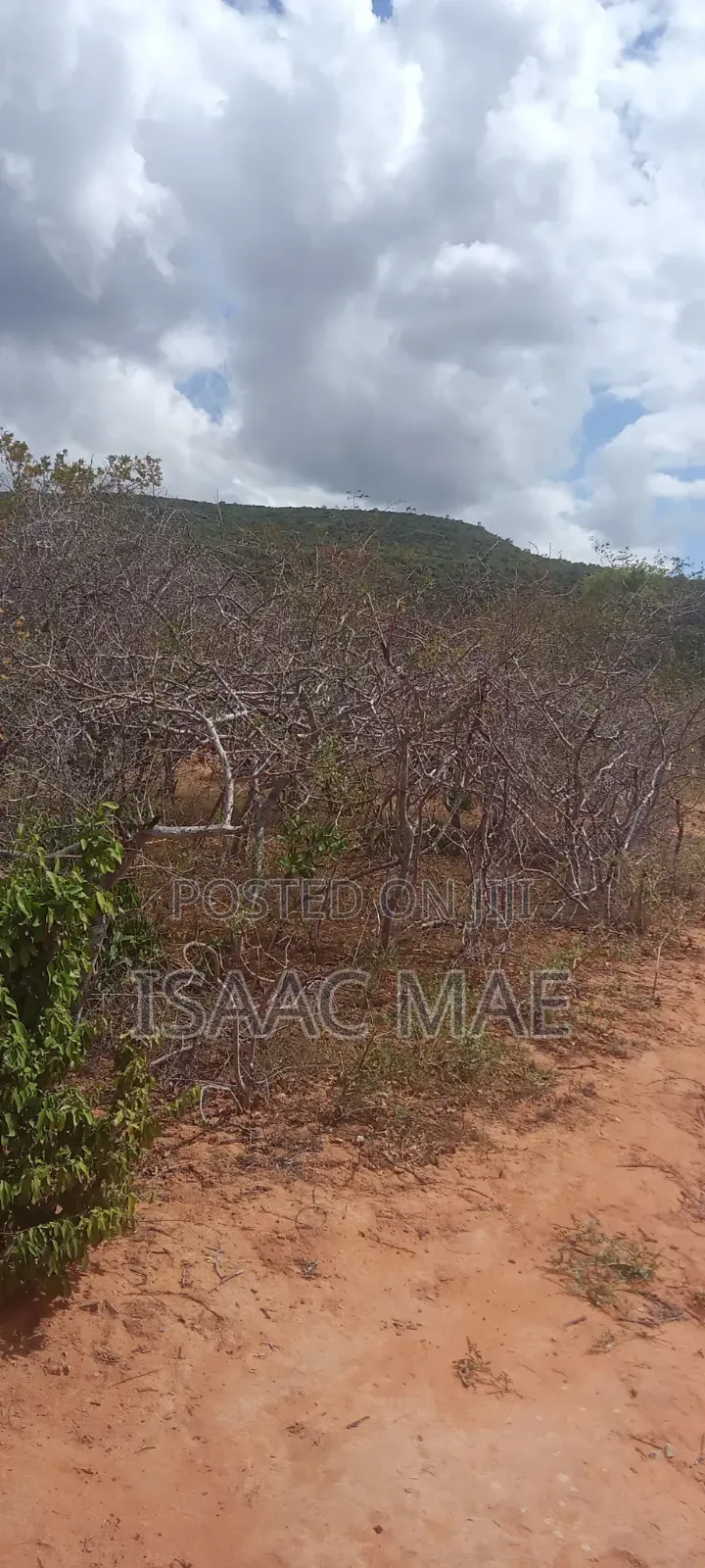 40 Acres for Sale at Kilifi Ndungumunani Area 120k Per Acre